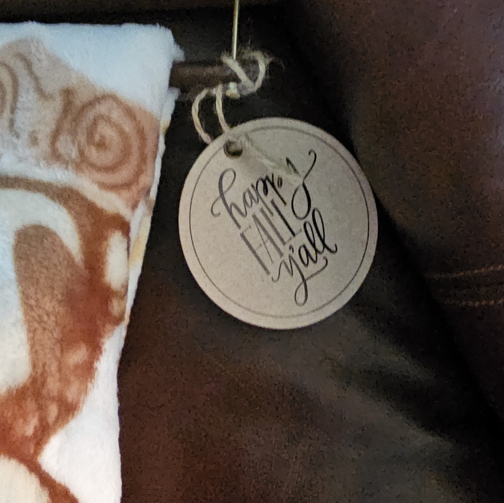 Autumn Themed Children's Plush Hooded Blanket - Picture 5 of 9
